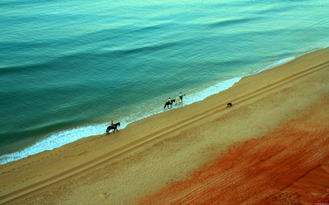 2560x1600 pix. Wallpaper sea, beach, horse, riding, nature, animals