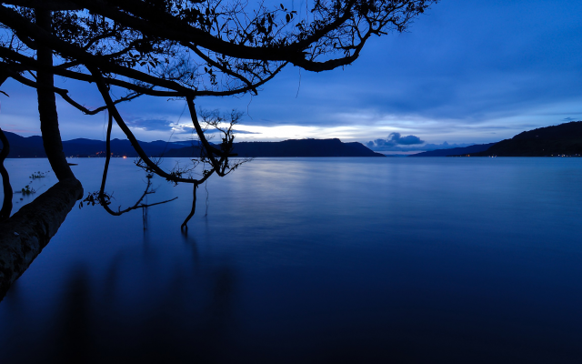 2560x1440 pix. Wallpaper lake, night, nature, tree, clouds, dark lake