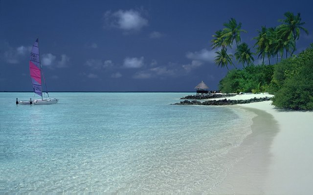 1920x1200 pix. Wallpaper nature, landscape, catamaran, beach, palm trees, sand, shrubs, tropical, island, sea, summer
