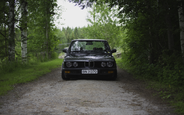 5400x3600 pix. Wallpaper BMW E28, Squatty, BMW, car, forest, tree, birch