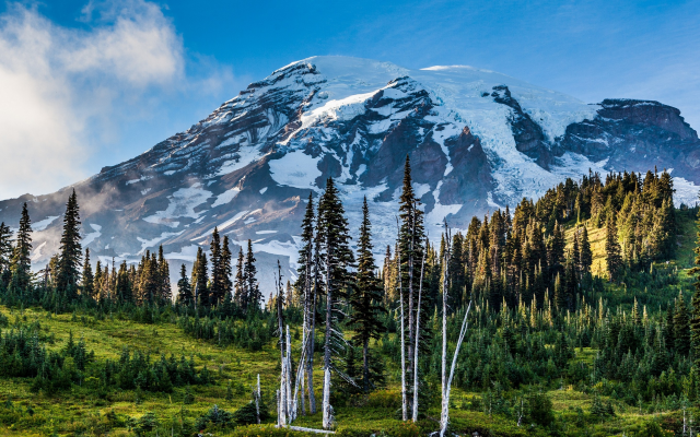3000x1688 pix. Wallpaper Mount Rainier, Washington, mountains, snowy peak, forest, grass, sunset, nature, landscape