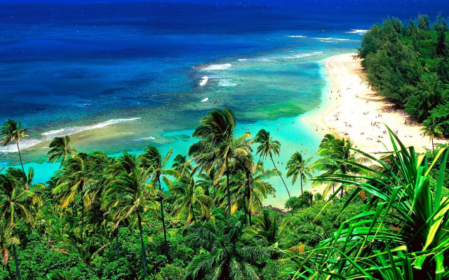 2560x1920 pix. Wallpaper kauai, hawaii, usa, beach, ocean, palm, tropics