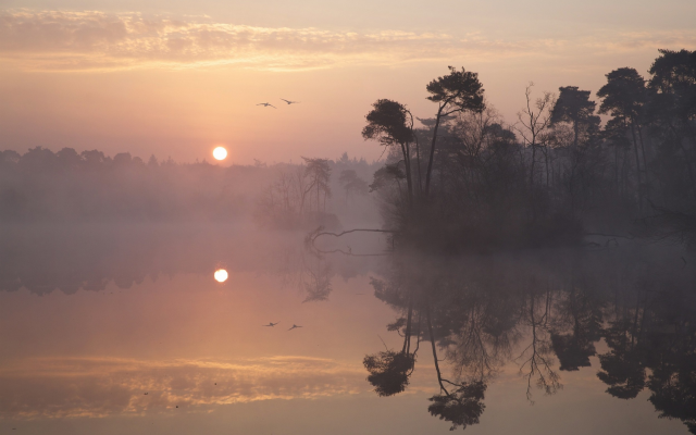 2500x1611 pix. Wallpaper fog, lake, calm, reflections, water, sunrise, nature, landscape