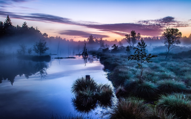 2200x1375 pix. Wallpaper nature, fog, sunrise, tree, river, Germany, calm, water