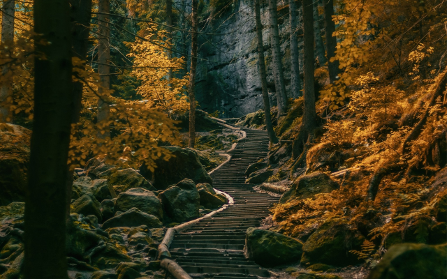 1920x1200 pix. Wallpaper path, stairs, forest, Germany, nature, landscape, tree, autumn