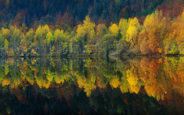 2000x774 pix. Wallpaper lake, reflection, nature, autumn, water, forest, landscape, tree
