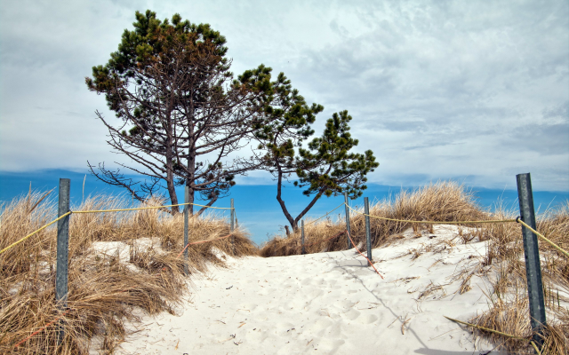 2560x1600 pix. Wallpaper beach, sea, sand, nature