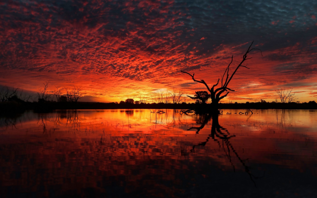 1920x1080 pix. Wallpaper sunset, horizon, nature, tree, dead tree, clouds, water, silhouette, reflections