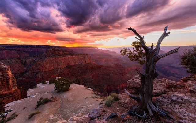 1920x1200 pix. Wallpaper Grand Canyon, canyon, nature, landscape, sunset, clouds, USA