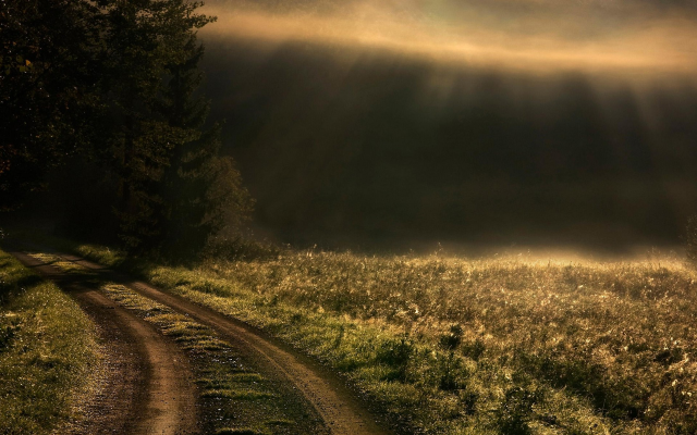 1920x1200 pix. Wallpaper sunrise, mist, roads, path, trees, grass, sun rays, landscapes, nature