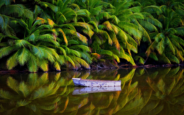 1920x1200 pix. Wallpaper nature, palm trees, jungles, lake, boat, Australia, tropical, island, water, reflection