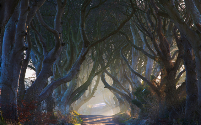 2000x1250 pix. Wallpaper Ireland, nature, fairy tale, road, alley, tree, mist, sun rays