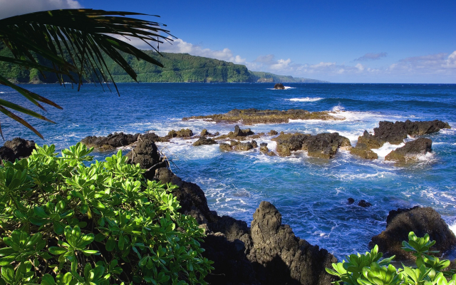 1920x1200 pix. Wallpaper hawaii, sea, ocean, coast, tropics, usa, nature