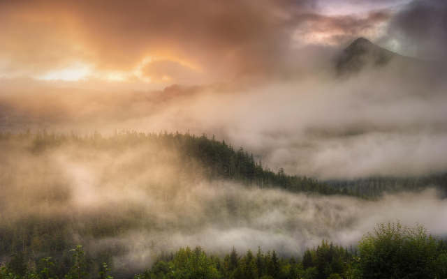 1920x1200 pix. Wallpaper alaska, nature, mist, forest, clouds, sunrise, mountains, tree