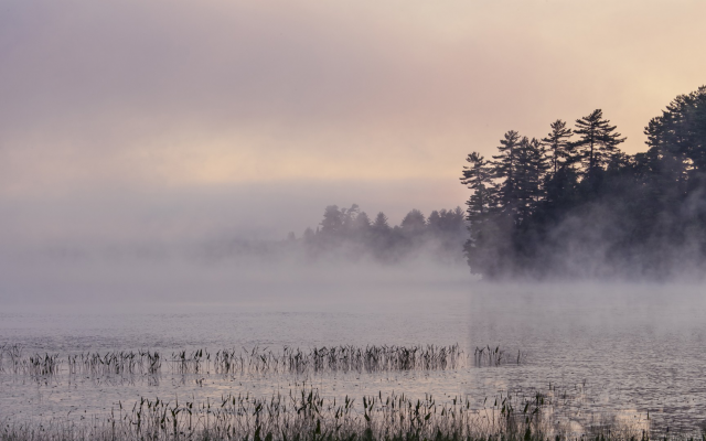 1920x1080 pix. Wallpaper mist, fog, morning, lake, nature