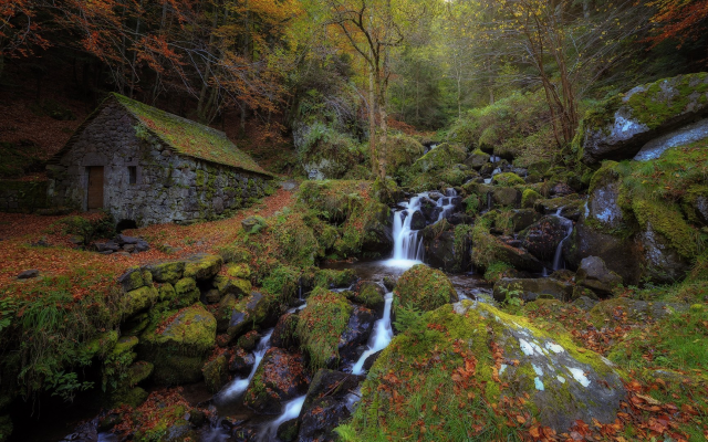 1920x1080 pix. Wallpaper moss, autumn, forest, nature, stream, waterfall, france, house