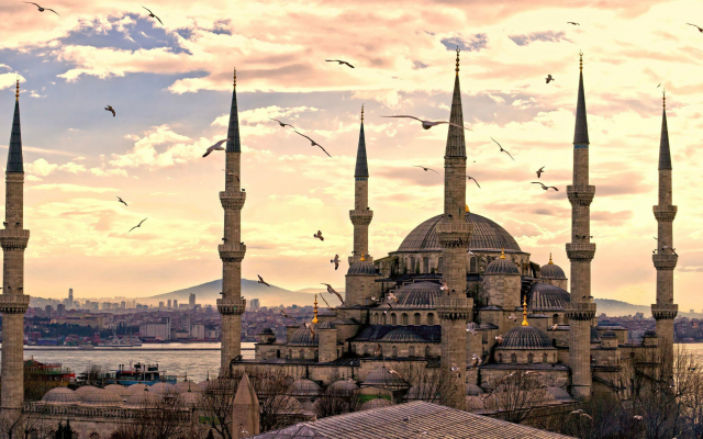 2560x1440 pix. Wallpaper Hagia Sophia, Mosque, Turkey, seagull, bird, clouds