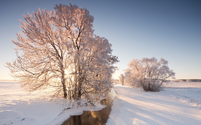 1920x1200 pix. Wallpaper nature, snow, winter, tree, river