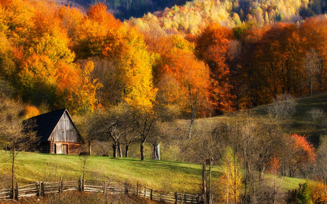1920x1200 pix. Wallpaper autumn, fall, barns, forest, grass, hill, landscape, tree, colorful, fence, nature