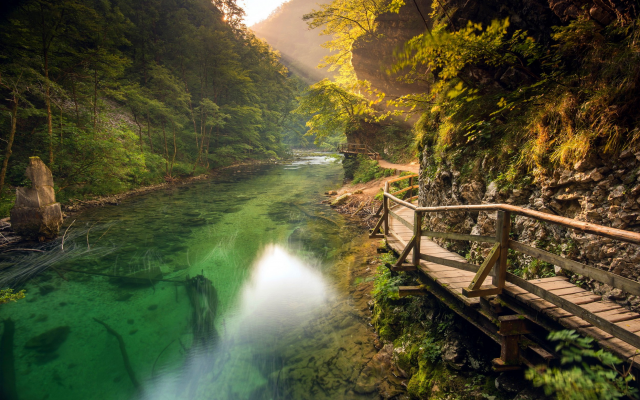 2500x1563 pix. Wallpaper river, walkway, slovenia, path, forest, sun rays, nature