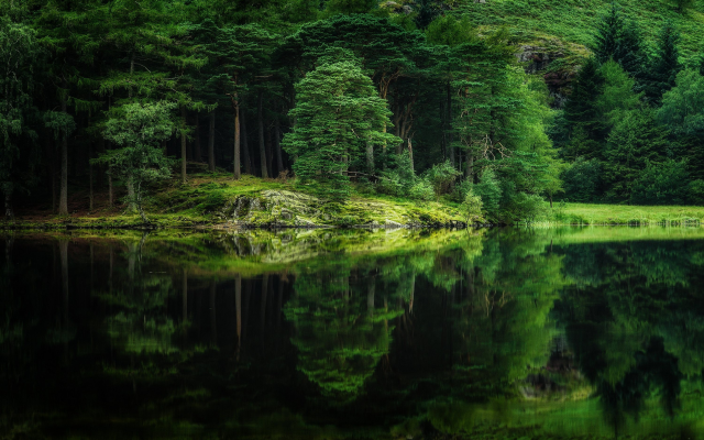 3000x1875 pix. Wallpaper reflection, water, lake, forest, tree, nature