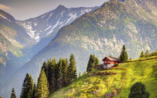 2560x1440 pix. Wallpaper snowy peak, switzerland, tree, house, mountains, field, grass, nature, landscape