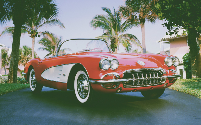 1920x1200 pix. Wallpaper car, chevrolet, 1961 chevrolet corvette, tropics, palm, cabrio