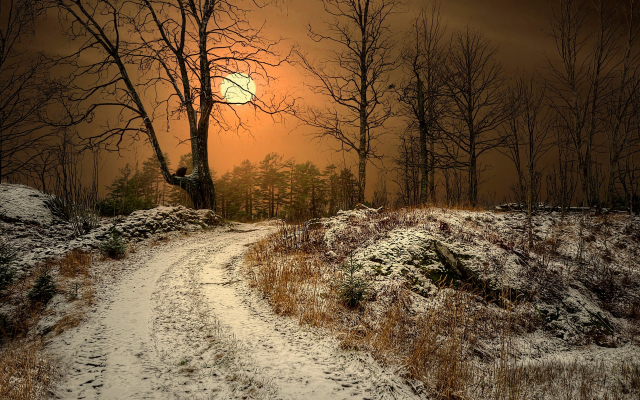 1920x1200 pix. Wallpaper winter, sun, norway, road, tree, nature, dry grass, snow