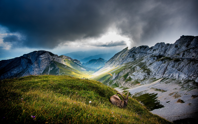 3360x2100 pix. Wallpaper mount pilatus, switzerland, mountains, clouds, ibex, nature, landscapes, paragliding, valleys, grass
