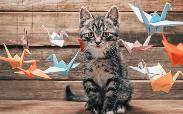 1920x1080 pix. Wallpaper animals, cat, kittens, origami, birds, pet