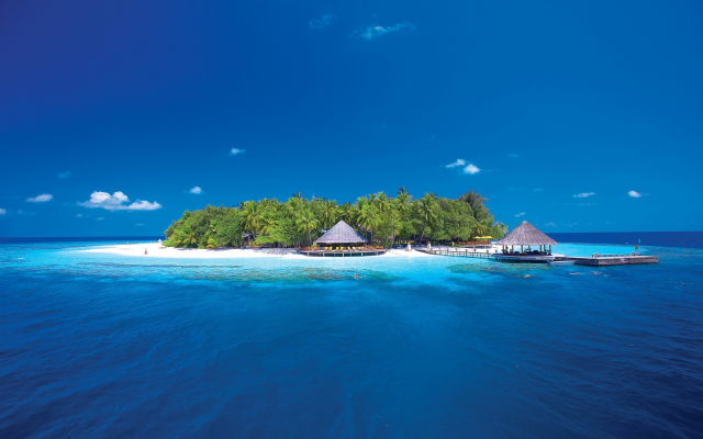 2048x1362 pix. Wallpaper ihuru island resort, maldives islands, angsana ihuru, bungalow, island, tropical, palm trees, nature
