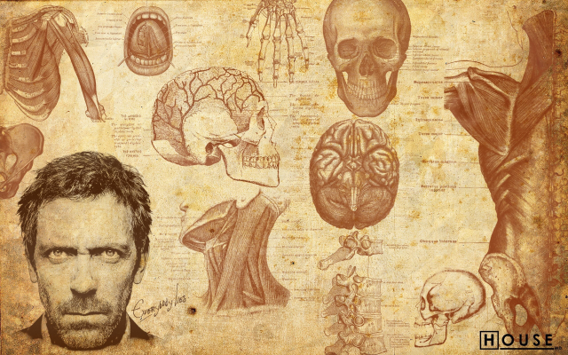 2560x1600 pix. Wallpaper men, artwork, Dr. House, actors, Gregory House, Hugh Laurie, faces, skulls, bones, muscles, brain