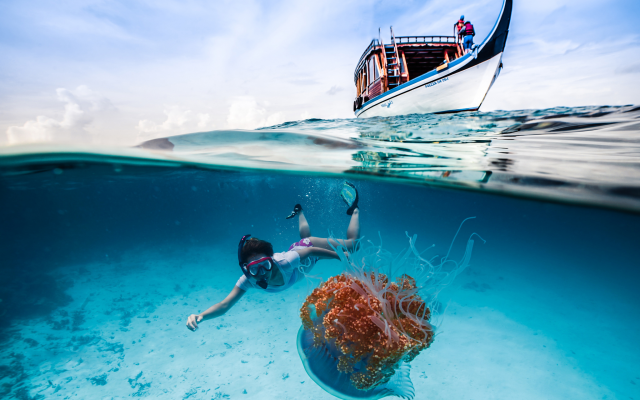 2048x1365 pix. Wallpaper underwater, diving, ocean, boat, jellyfish, snorkeling