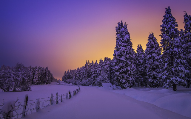 2048x1365 pix. Wallpaper nature, forest, tree, sunset, snow, winter