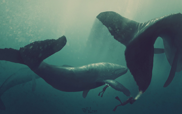 2000x1104 pix. Wallpaper whale, diver, artwork, underwater