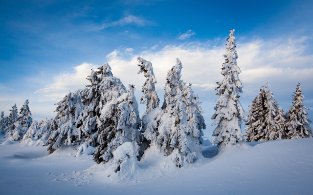 5321x3547 pix. Wallpaper nordseter fjellpark, lillehammer, norway, winter, snow