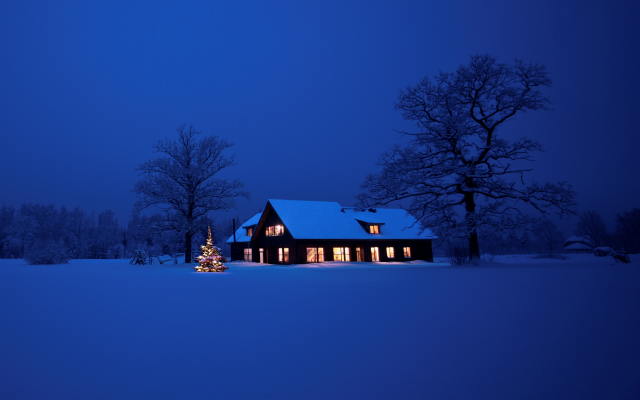 4000x2580 pix. Wallpaper christmas, night, winter, snow, tree, lights, new year, christmas tree