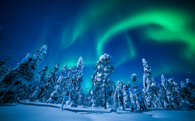 5616x3744 pix. Wallpaper lapland, finland, winter, snow, tree, northen lights, aurora