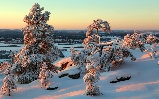 5006x3337 pix. Wallpaper finland, lapland, winter, sunset, snow, tree, nature