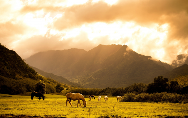 5616x3370 pix. Wallpaper horse, grass, landscape, animals, sky, nature, mountains