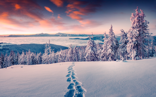 2560x1501 pix. Wallpaper sunset, winter, mountains, tree, snow, footprints, nature, forest