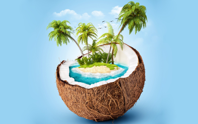2560x1600 pix. Wallpaper coconut, island, cg render, blue background, palm tree, tropical