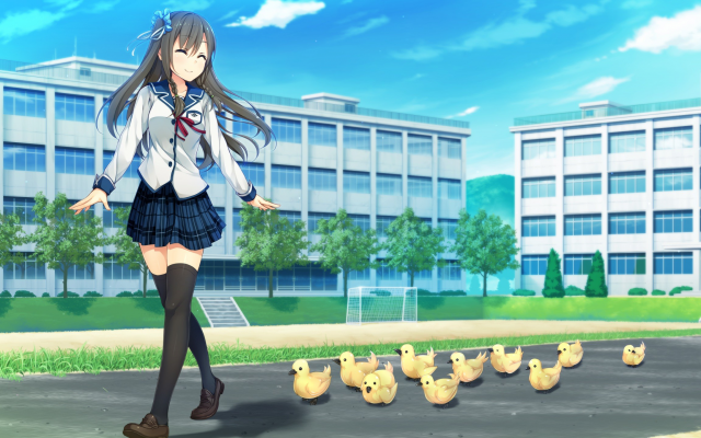 2560x1440 pix. Wallpaper anime girls, sorairo innocent, visual novel, tsukigase mahiru, thigh-highs, duck, school uniform
