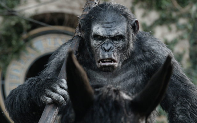 2186x1152 pix. Wallpaper dawn of the planet of the apes, caesar, monkey, animals, movies