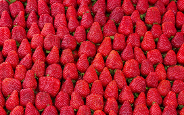 2560x1707 pix. Wallpaper berries, strawberries, abundance, food