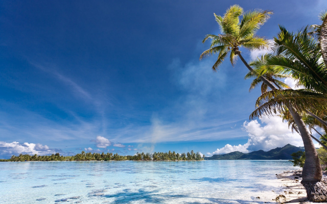 2000x1322 pix. Wallpaper eden, french polynesia, beach, palm trees, nature, island, sea, tropical