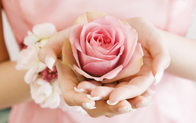 2950x2094 pix. Wallpaper flowers, rose, hands, pink rose, bud, petals