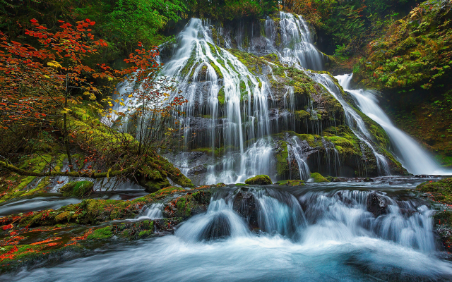 2048x1365 pix. Wallpaper panther creek falls, gifford pinchot national forest, forest, tree, waterfall, nature