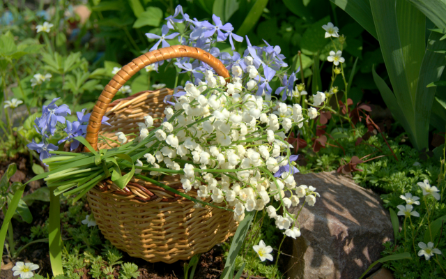 1920x1175 pix. Wallpaper basket, flowers, lily of the valley, periwinkle, nature