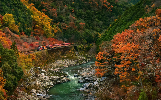 1920x1080 pix. Wallpaper train, nature, landscape, trees, forest, branch, leaves, colorful, fall, rock, stones, river, stream